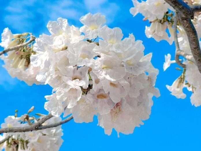 FB_IMG_1772152294456