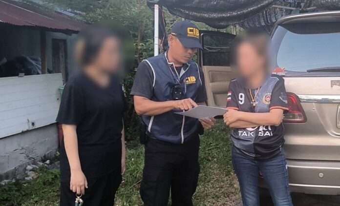 1772435212561_edit_55482886000387