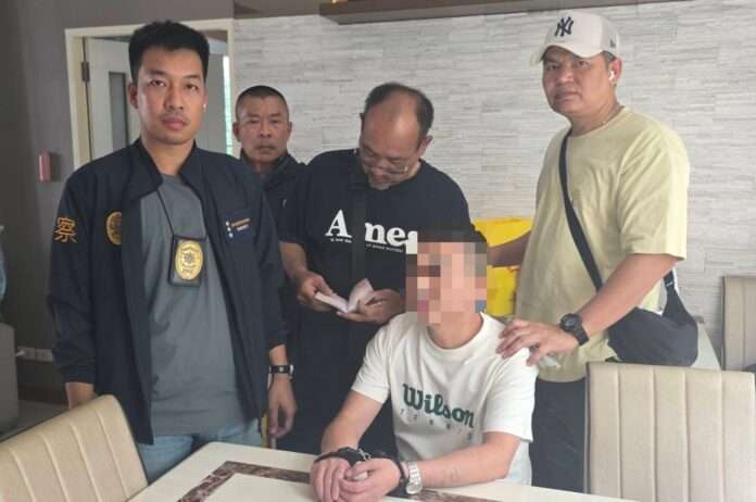 1773019736084_edit_221049359160019