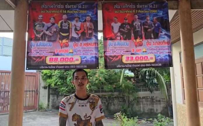 1773624784239_edit_251108820272098