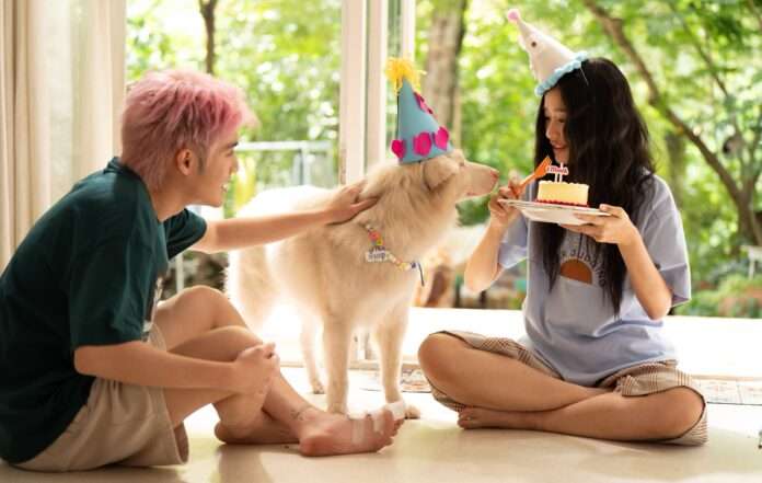 1774675223506_edit_153033695042273