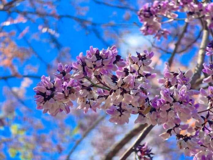 FB_IMG_1772316673625