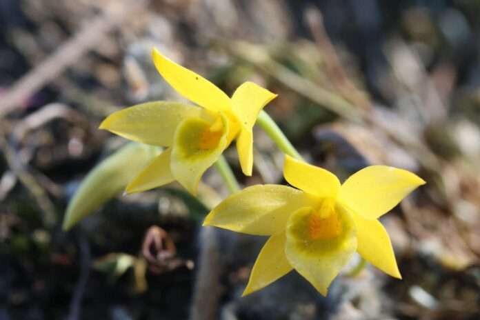 FB_IMG_1772409969570