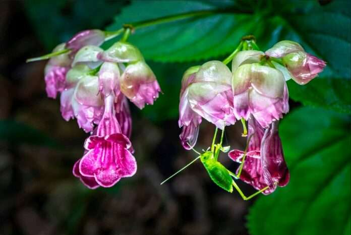 FB_IMG_1772588523735