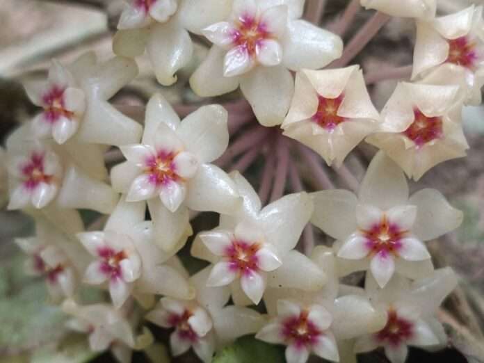 FB_IMG_1773013858318