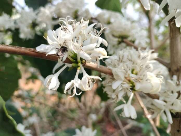 FB_IMG_1773533816846