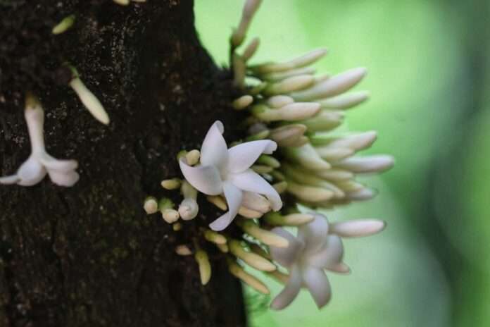 FB_IMG_1773705777811