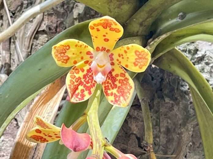 FB_IMG_1773795886976