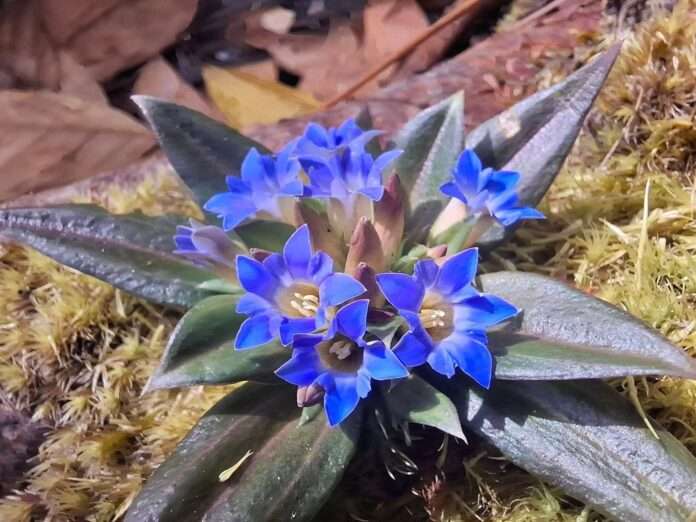 FB_IMG_1773882394337