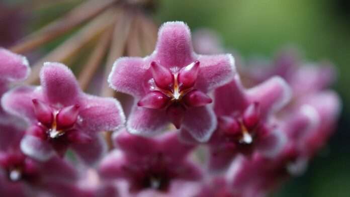 FB_IMG_1774572358071