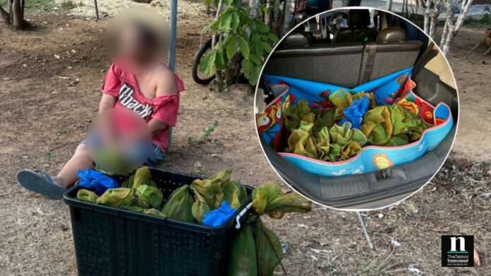 InShot_20260318_100241880