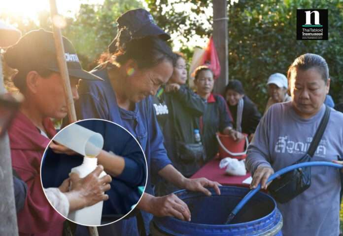 InShot_20260331_141919256