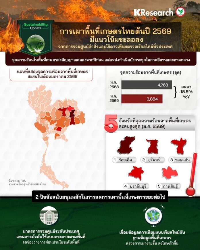 เผาแปลงเกษตร