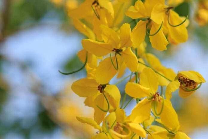 FB_IMG_1775263503615