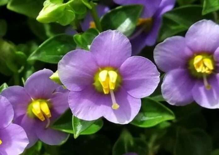 FB_IMG_1775350458718_edit_122161024400108