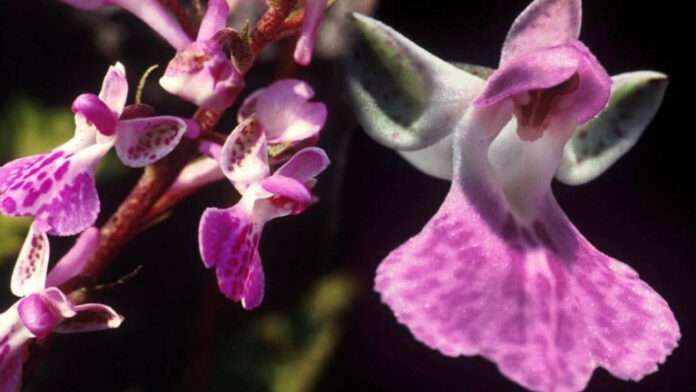 InShot_20260407_080651638