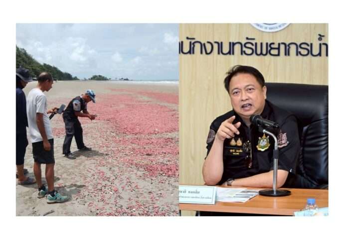 สุชาติ ปลิง