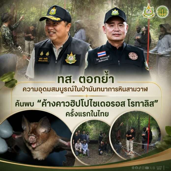 สุชาติ ค้างคาว