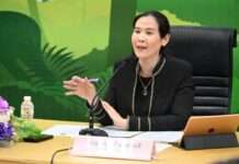 “กุลวลี” ปลดล็อกเยียวยาผู้รับผลกระทบช้างป่า หั่นขั้นตอนเหลือ 30 วัน