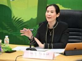 “กุลวลี” ปลดล็อกเยียวยาผู้รับผลกระทบช้างป่า หั่นขั้นตอนเหลือ 30 วัน