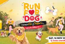เพดดิกรี ชวนพาน้องหมาคู่ใจไปวิ่งการกุศล “Run for Dog 2026” เพื่อแบ่งปันแก่สุนัขไร้บ้าน 14 พ.ย.นี้ ที่ปากช่อง
