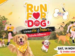 เพดดิกรี ชวนพาน้องหมาคู่ใจไปวิ่งการกุศล “Run for Dog 2026” เพื่อแบ่งปันแก่สุนัขไร้บ้าน 14 พ.ย.นี้ ที่ปากช่อง